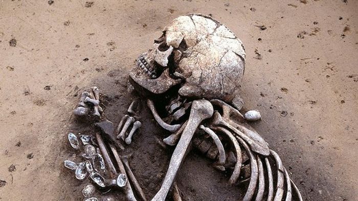 Nomadic herders moved en masse into Europe from the steppe around 4,500 years ago Nomadic herders moved en masse into Europe from the steppe around 4,500 years ago