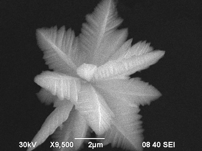 Nanodiamonds found to kill cancer stem cells. Nanodiamonds found to kill cancer stem cells.