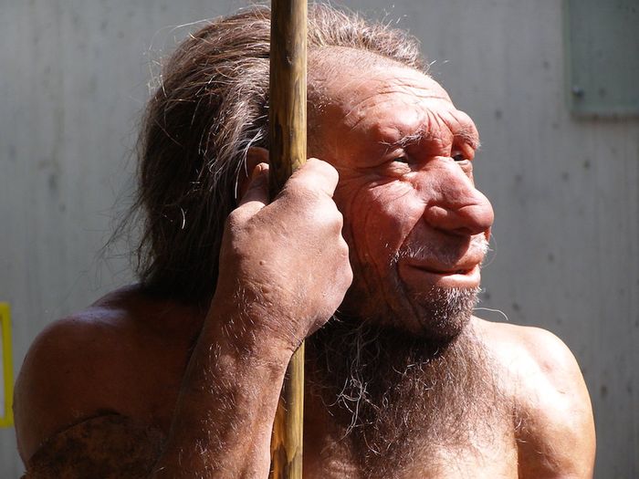 Neanderthals may have succumbed to infectious diseases carried to Europe by modern humans as they migrated out of Africa Neanderthals may have succumbed to infectious diseases carried to Europe by modern humans as they migrated out of Africa