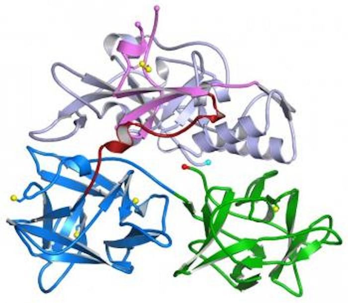 Mycoplasmas are the smallest of all bacteria and have proven very difficult to study. Mycoplasmas are the smallest of all bacteria and have proven very difficult to study.
