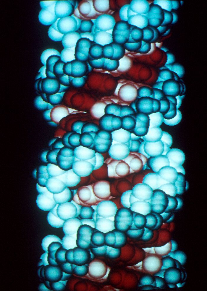 Computer graphic of an RNA molecule Computer graphic of an RNA molecule