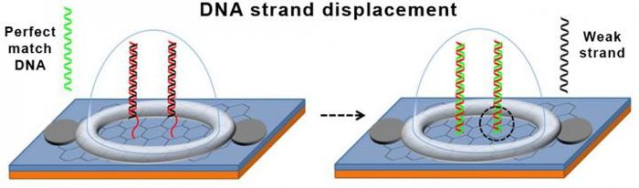 Credit - Lal Research Group at UC San Diego