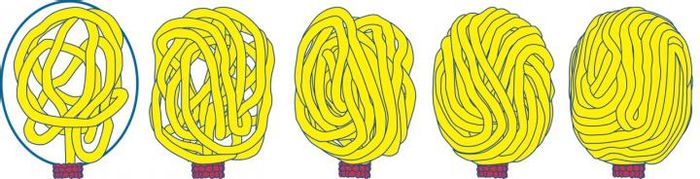 gradual filling of viral capsid (blue oval, left panel) by DNA (yellow), which is driven into the capsid by the protein motor (red).