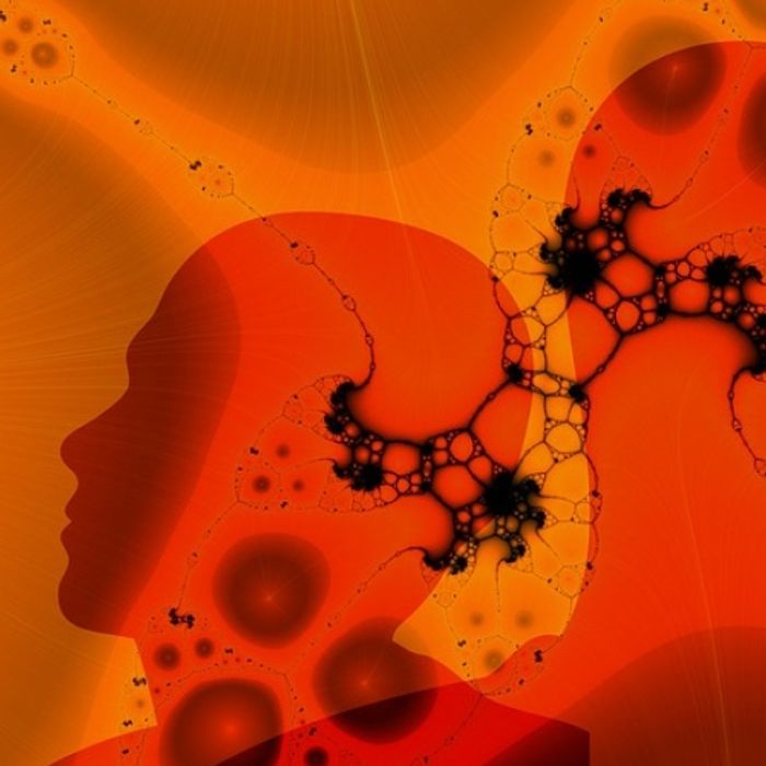 How Does Time Work In The Brain Neuroscience