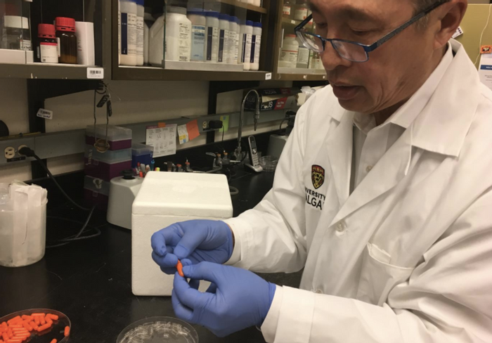 Poop Pills Proven To Be Effective Treatment For C Diff Infection
