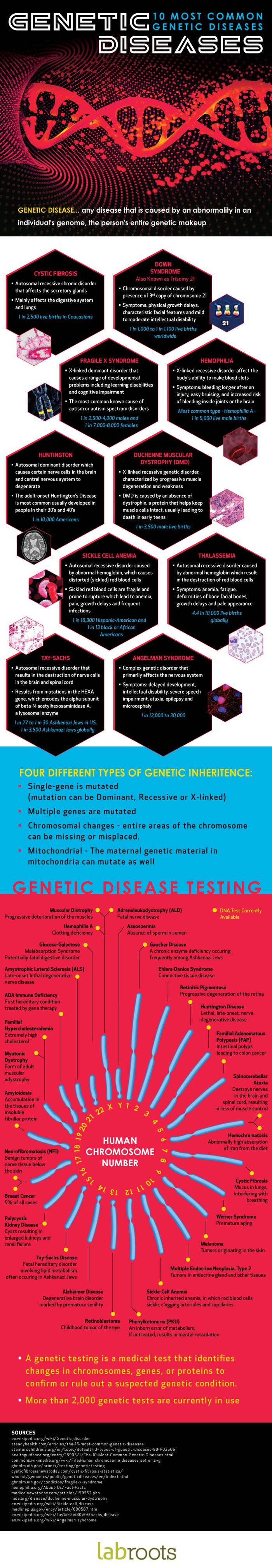 What Are The 10 Common Genetic Disorders