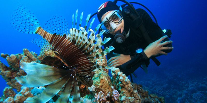 Marine Biology | Webinars